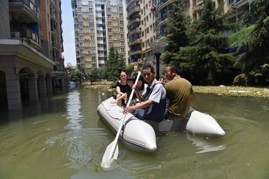 Image 293753387