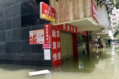 Image 293753403