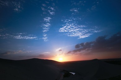 Image 293870553