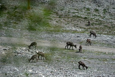 Image 294098078