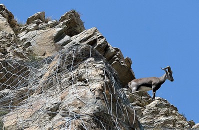 Image 294098080