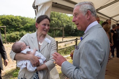Image 294612854