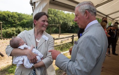 Image 294612858