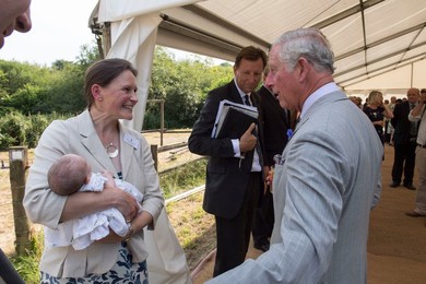 Image 294612865