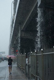 Image 294635976