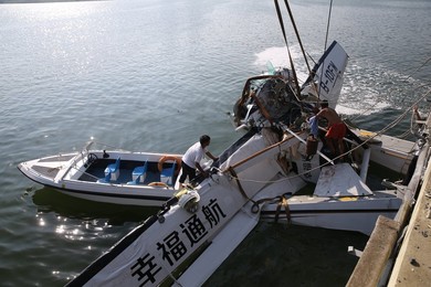 Image 294640226