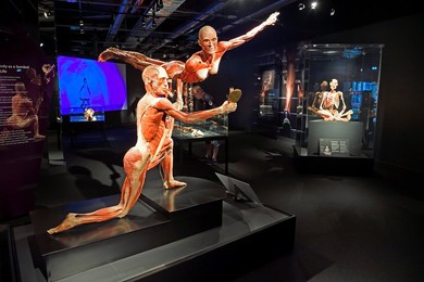 Image 294708349