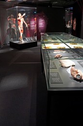 Image 294709054