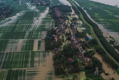 Image 294711571