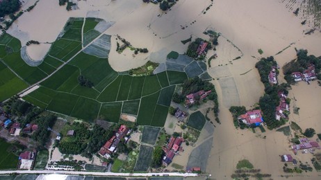 Image 294711573