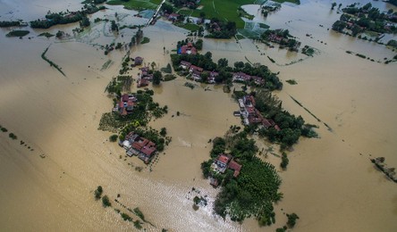 Image 294711575