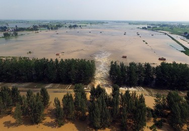 Image 294711887