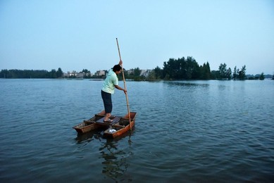 Image 294967692