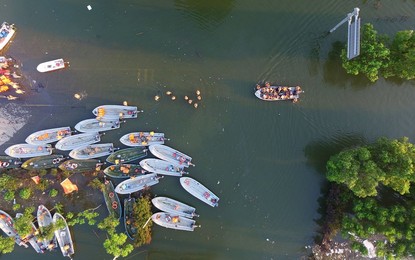 Image 294967696