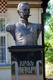 Image 295016306