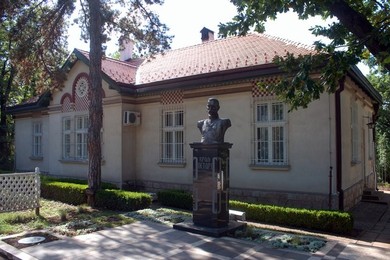 Image 295016315