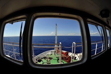 Image 295215534