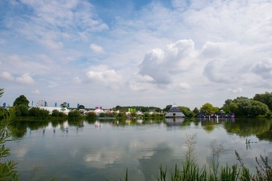 Image 295242311