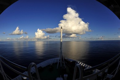 Image 295333067