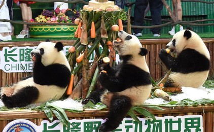 Image 295467580