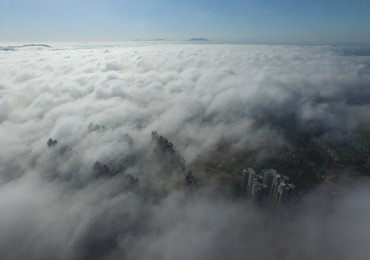 Image 295655168