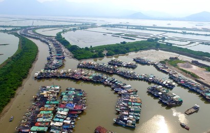 Image 295869366
