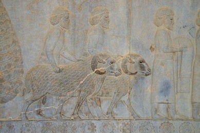 Image 296153865