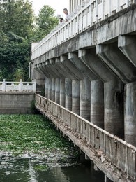 Image 297198797