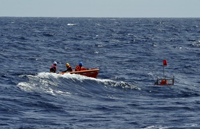 Image 297319690