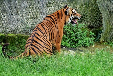 Image 297448212