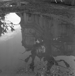 Image 297700883