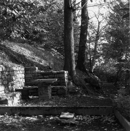 Image 297700901