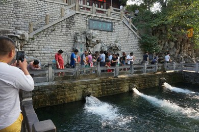 Image 297856898