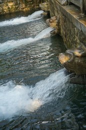 Image 297856899