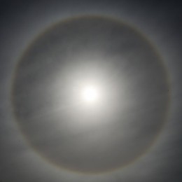 Image 297856975