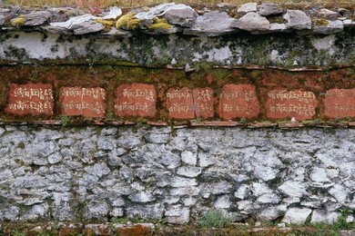 Image 297894057