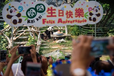 Image 297910552