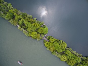 Image 298351247
