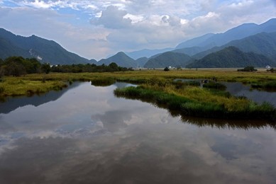Image 298351291