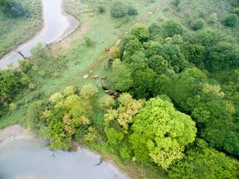 Image 298351294