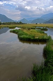 Image 298351305