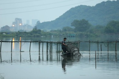 Image 298539993
