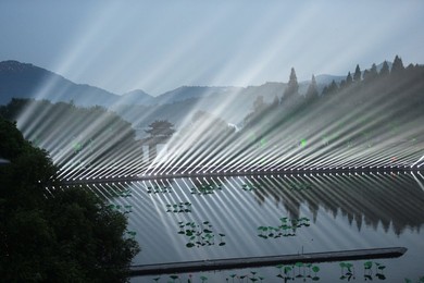 Image 298863805