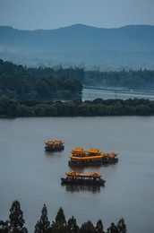 Image 298863835