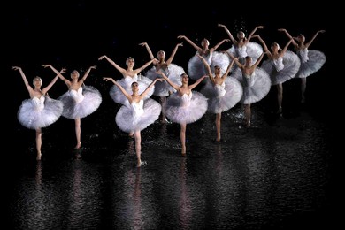 Image 298865029