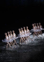 Image 298868527