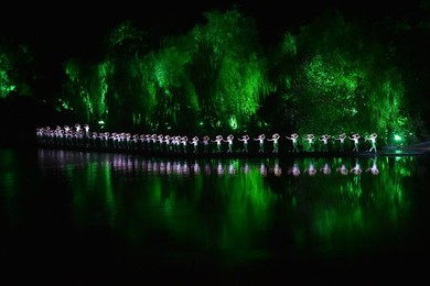 Image 298921456