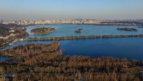 Image 298921811