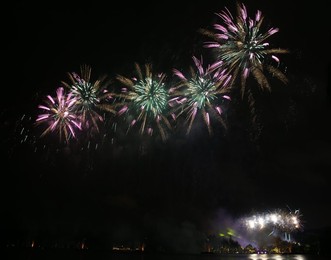 Image 298921881
