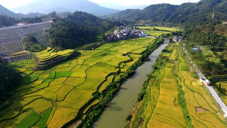 Image 298935235